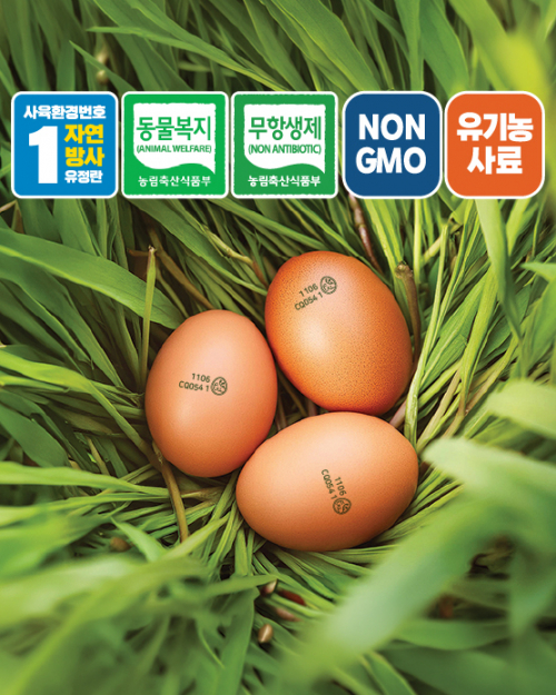 [ 산풀숲농장 난각번호 1번 ] 풀란 참 계란 / NON-GMO 자연방사 동물복지(20구/30구)