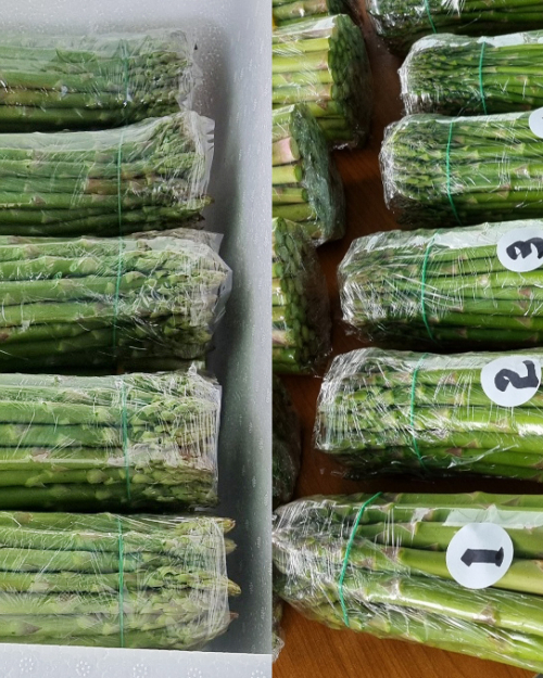 [이정수농부] 아스파라거스 1kg