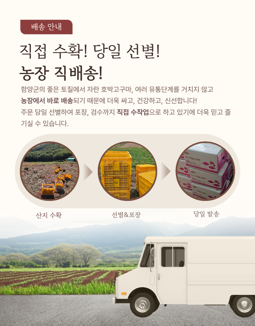 [ 산야애 ] 밤고구마 10kg