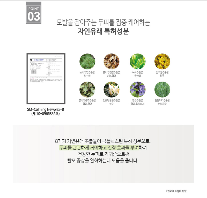모발을 잡아주는 두피를 집중 케어하는 자연유래 특허성분l
