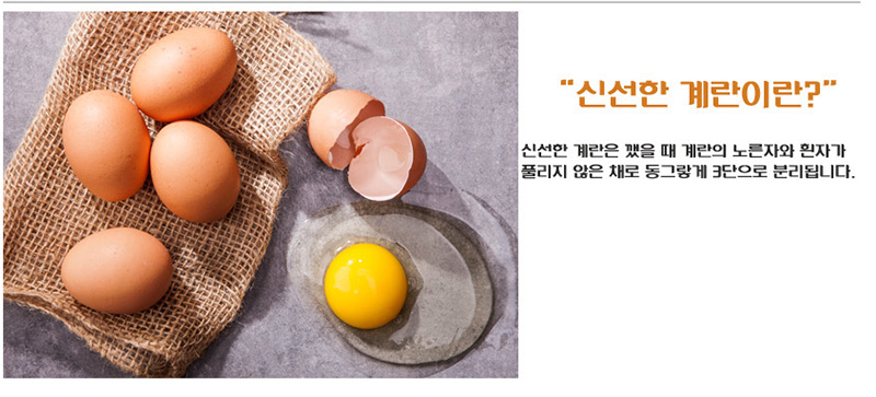 
신선한 계란이란?
신선한 계란은 깼을 때 계란의 노른자와 흰자가
풀리지 않은 채로 동그랗게 3단으로 분리됩니다.