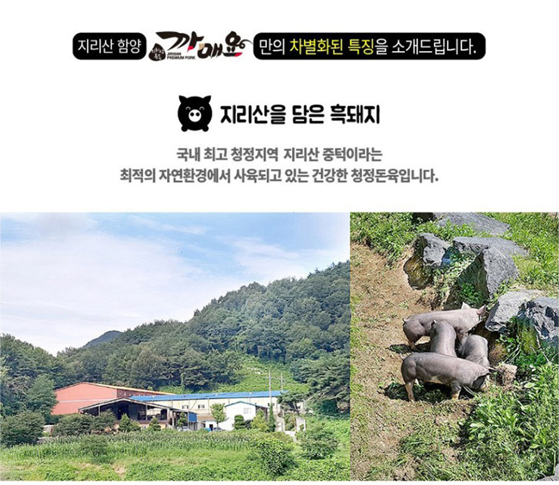지리산 함양 까매요 만의 차별화된 특징을 소개드립니다.
지리산을 담은 흑돼지
국내 최고 청정지역 지리산 중턱이라는
최적의 자연환경에서 사육되고 있는 건강한 청정돈육입니다.