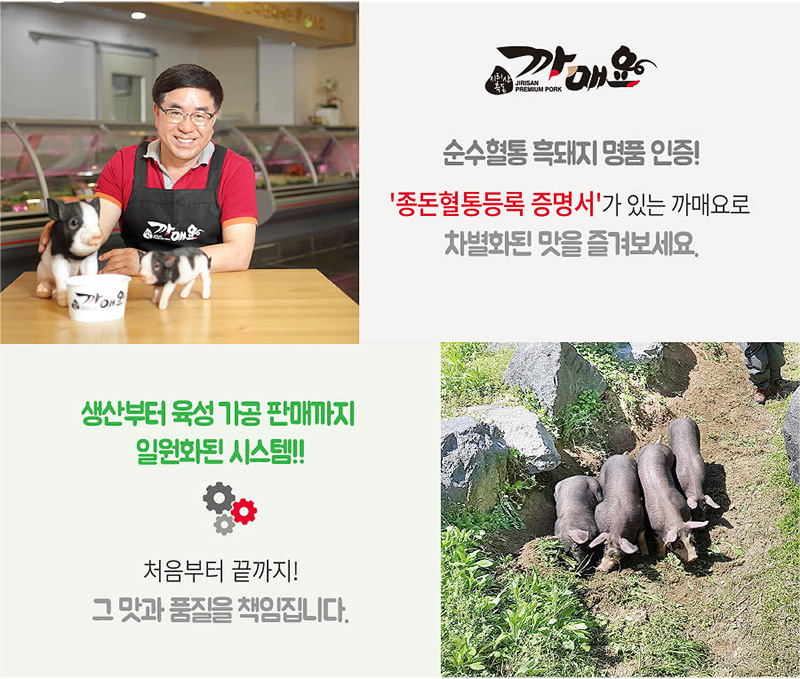 
까매요
순수혈통 흑돼지 명품 인증!
'종돈혈통등록 증명서'가 있는 까매요로
차별화된 맛을 즐겨 보세요.
생산부터 육성가공 판매까지
일원화된 시스템!!
처음부터 끝까지!
그 맛과 품질을 책임집니다.