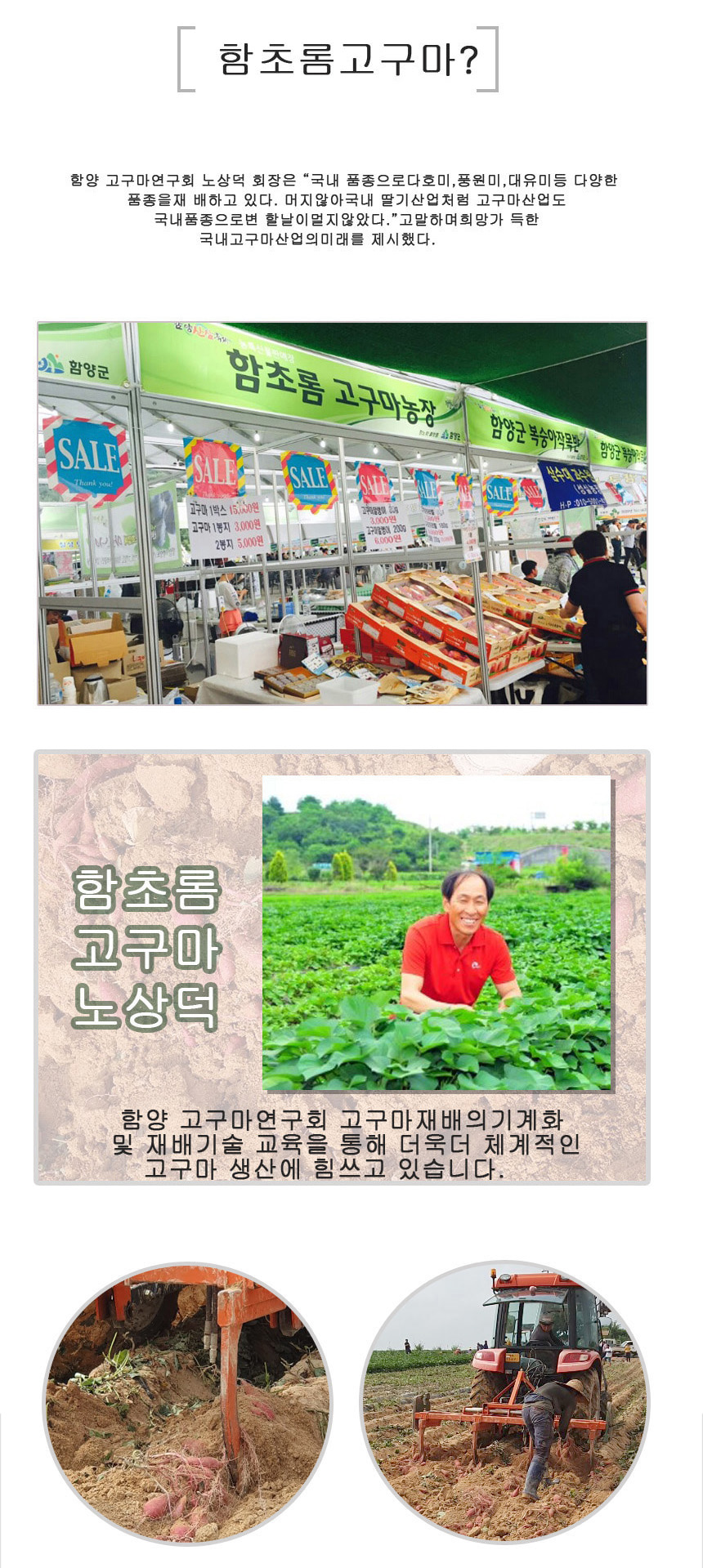 
함초롬고구마
함양 고구마연구회 노상덕 회장은 국내 품종으로 다호미,풍원미,대유미 등 다양한
품종을 재배하고 있다. 머지않아 국내 딸기산업처럼 고구마산업도
국내 품종으로 변할 날이 머지 않았다고 말하며 희망 가득한
국내고구마산업의 미래를 제시했다.
함초롬
고구마
노상덕
함양 고구마연구회 고구마재배의 기계화
및 재배기술 교육을 통해 더욱더 체계적인
고구마 생산에 힘쓰고 있습니다.
