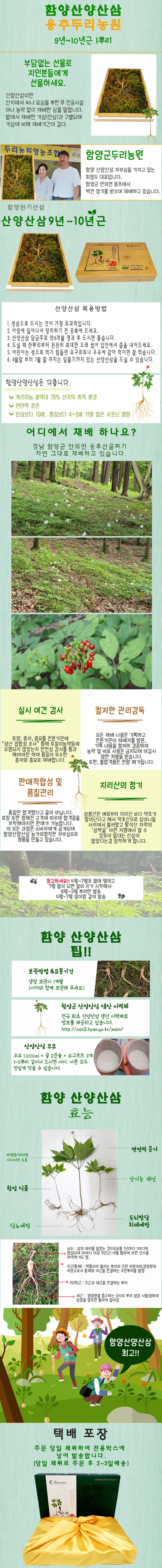 산양산삼 9~10 년근 (1뿌리)