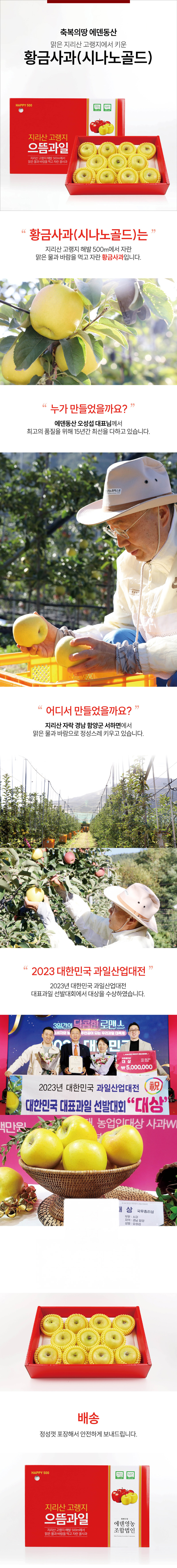 황금사과 3kg( 명품/특품/상품)