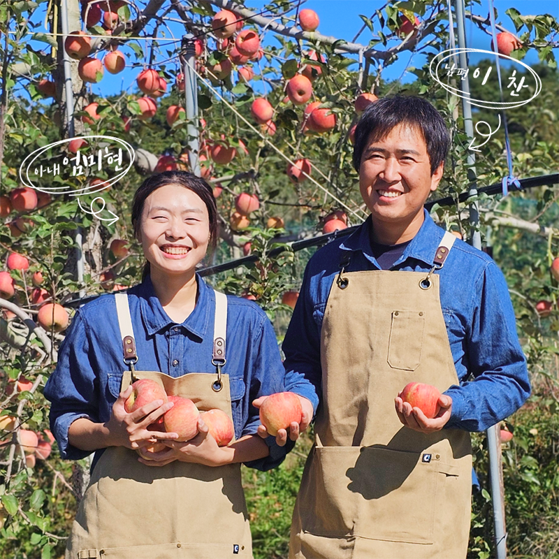 [잘생긴농장] 실속형사과 (3kg/6kg)