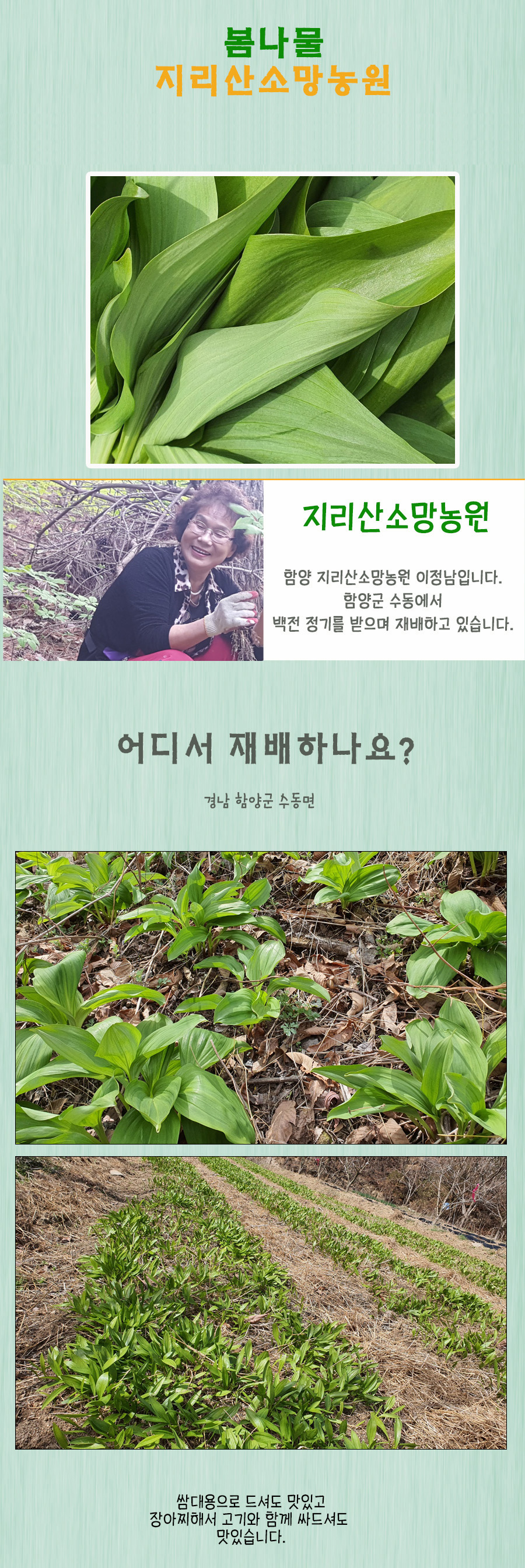 산마늘 ( 명이나물 ) 1kg