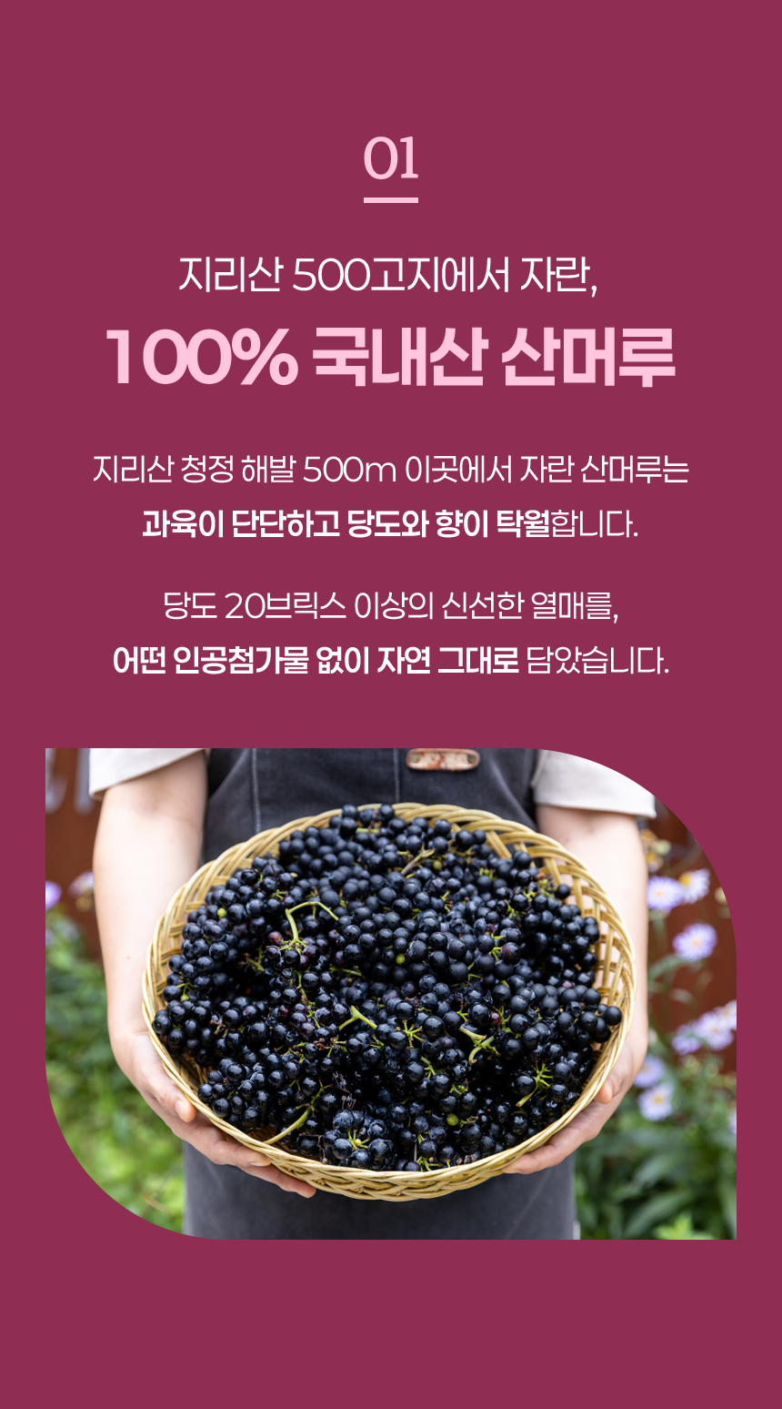 [13년 숙성] 하미앙 와인식초 250ml / 발사믹식초 250ml / 산머루 식초세트 250mlx2