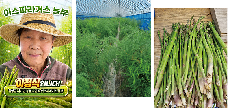[이정수농부] 아스파라거스 1kg