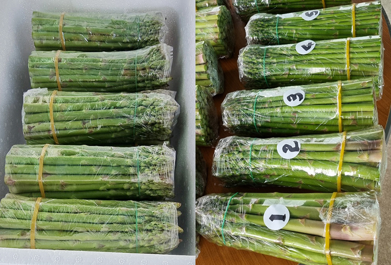 [이정수농부] 아스파라거스 1kg