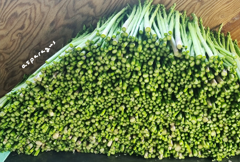 [이정수농부] 아스파라거스 1kg
