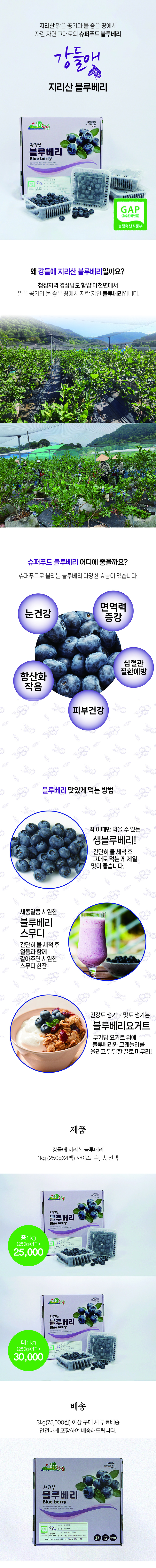 [ 강들애 ]  블루베리  1kg( 중 / 대 )