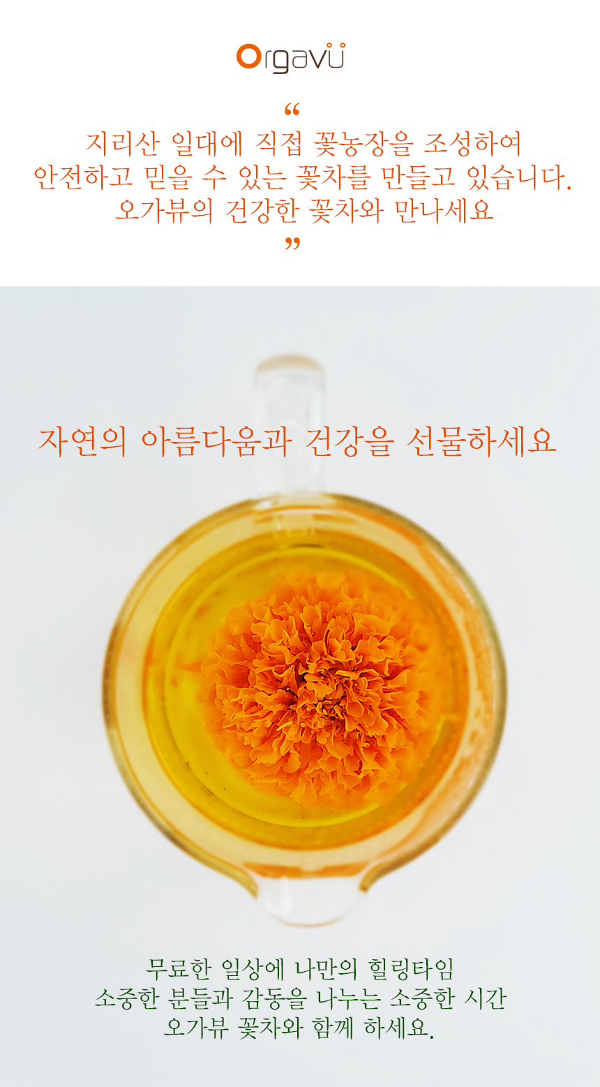 국화차 12g(병/대)