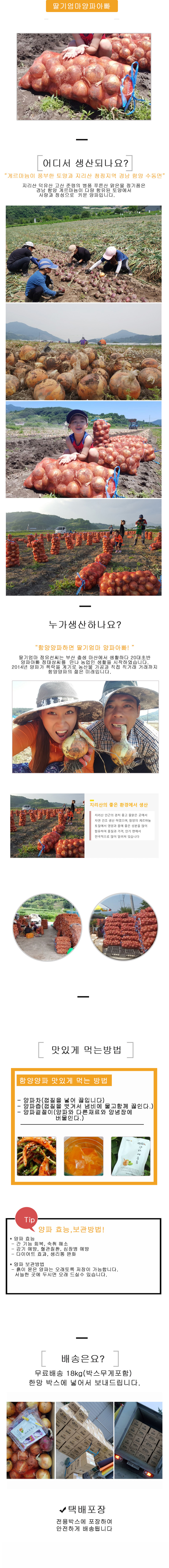 [ 예약상품 / 만생종 ]  양파 10kg/18kg 상중혼합
