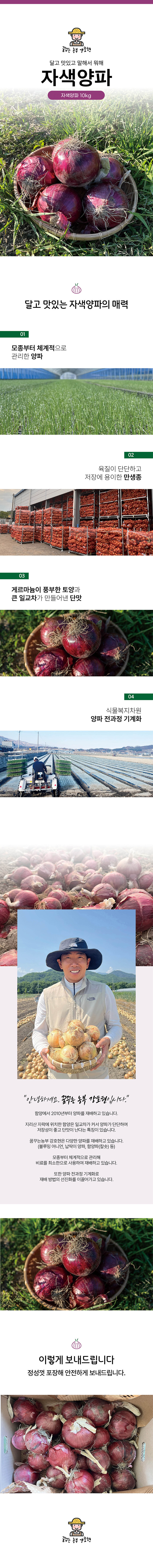 [ 꿈꾸는농부 강호현 ] 자색양파 10kg