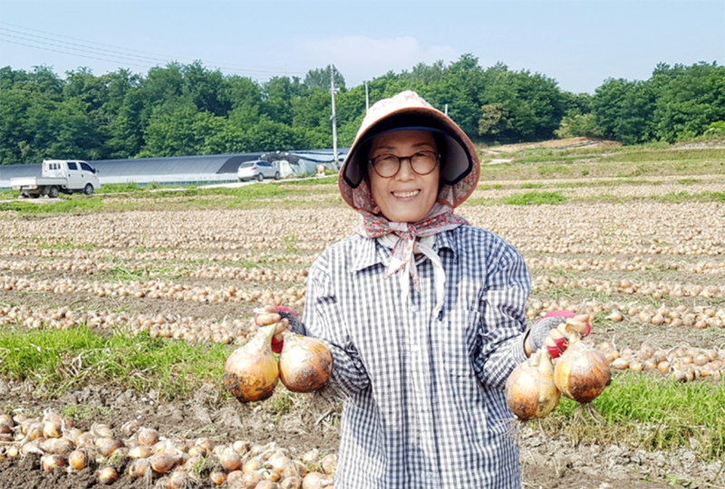 [ 함양액즙 ] 솔잎양파즙(100ml*50 팩)