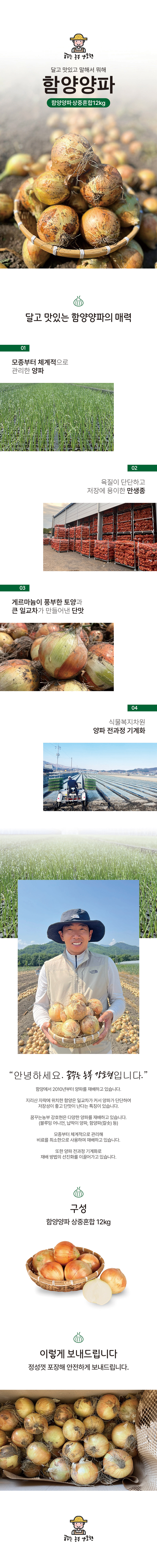 [ 꿈꾸는농부 강호현 ] 양파 12kg(상중혼합)